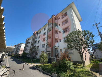 【外観】 | 白鷺団地　B13　