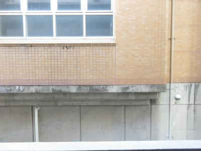 メルクマールK（メルクマールケー）の展望|バルコニー眺望