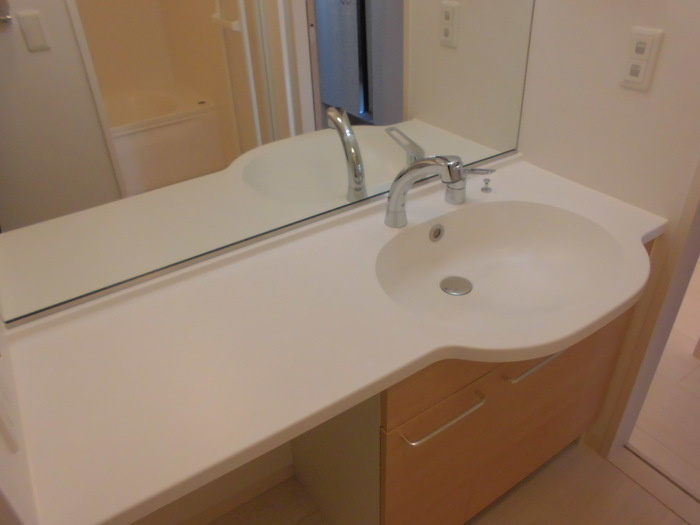 エミネンスⅢの洗面所