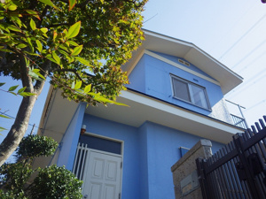 べストビューハウスの画像