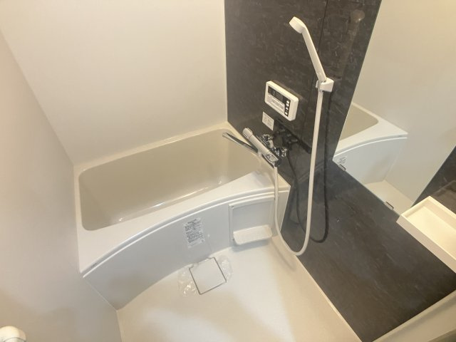 メゾン・ド・ルミエール国府台の浴室