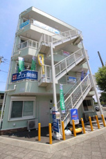 カスガノースワンの画像