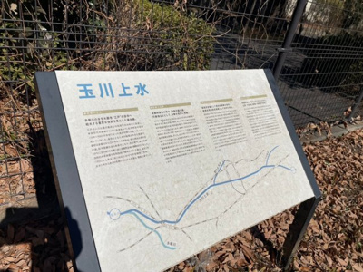 【周辺】 | 春には桜が咲き誇る玉川上水至近の売地！　【全2区画】