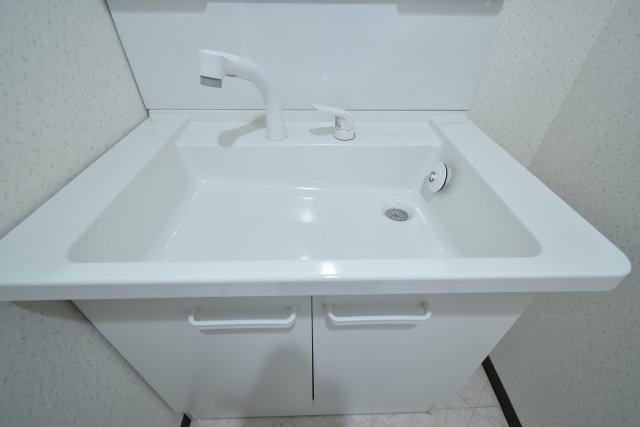 ハーモニータカノの独立洗面台
