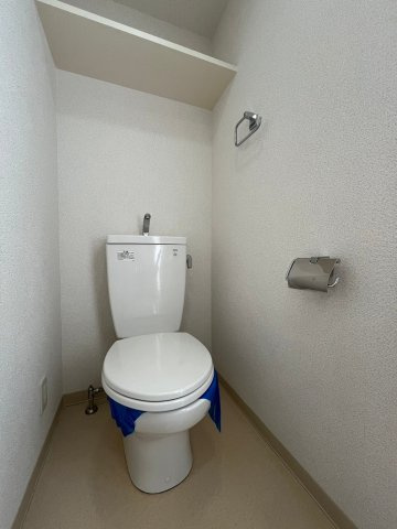 プレサンス泉セントマークのトイレ