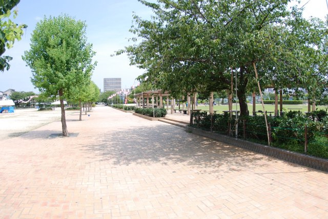 レジデンス香里の周辺