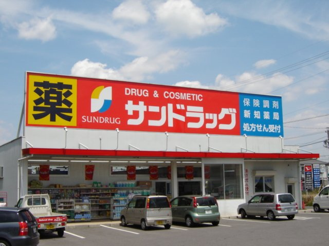 ベェル　ウェルの周辺|サンドラッグ新知店まで1,700ｍ