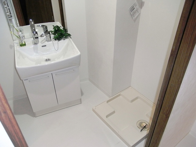 Vitaのその他