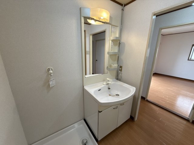 メゾンやすむろⅡの洗面所