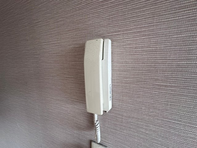 【セキュリティ】 | ルレクチェ