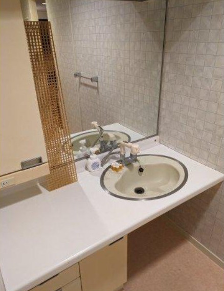 ラフィーヌ芦屋の洗面所