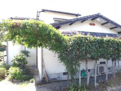 【庭】 | 玉名市築地　中古住宅 | お庭の付いた物件です