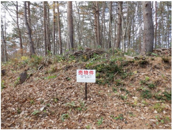 住宅用地　福島市在庭坂字中ノ堂の外観