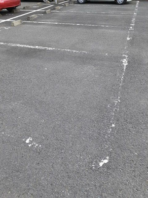 【駐車場】 | メゾン　パサニアＣ