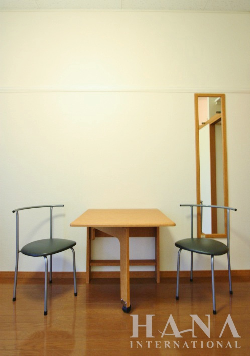 レオパレス丸山の内装