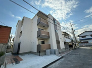 F asecia katanoの画像