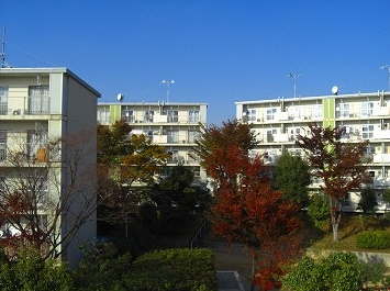 大久保東第1住宅6号棟　