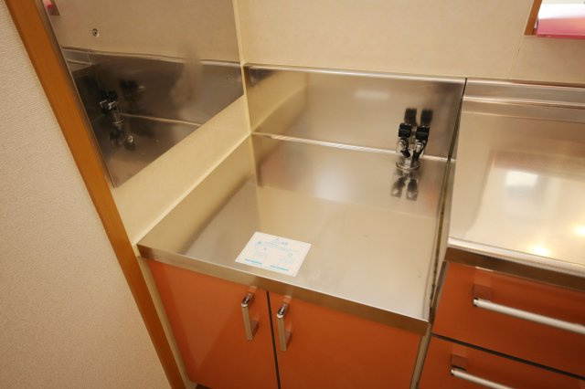 サバーバンハウスIIのその他