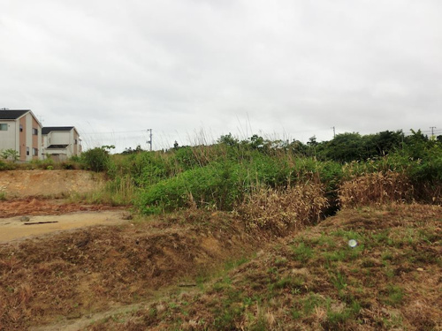 相馬市小泉売地の画像