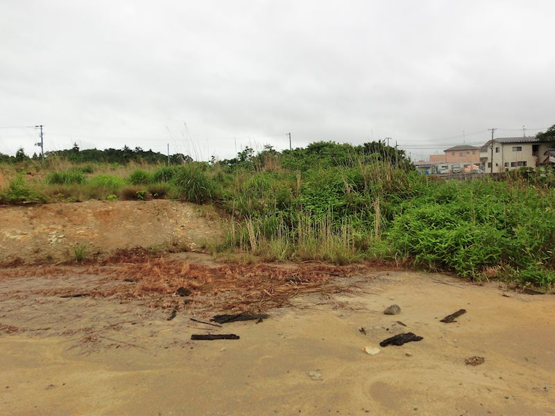 おしゃれな外観です