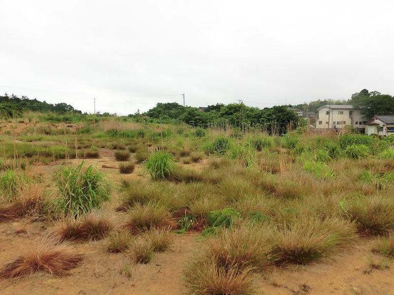 外観は落ち着いています