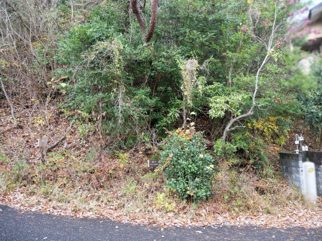 南箱根ダイヤランド②