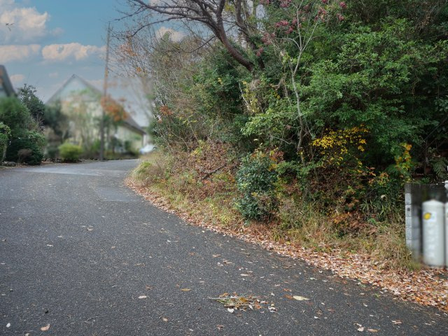 南箱根ダイヤランド②の前面道路含む現地写真|南側