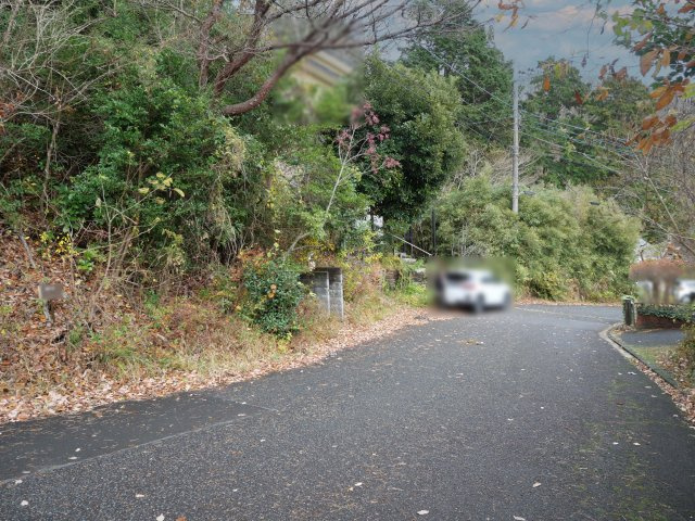南箱根ダイヤランド②の前面道路含む現地写真|南側