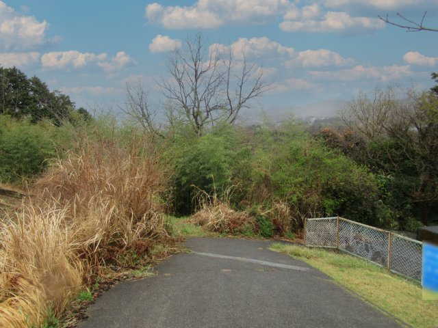 南箱根ダイヤランド②の前面道路含む現地写真|北側