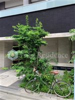 【外観パース】 | フュージョナル浅草フォレスト