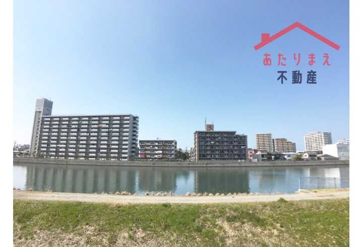 Pond Mum MATSUSHIMAの展望