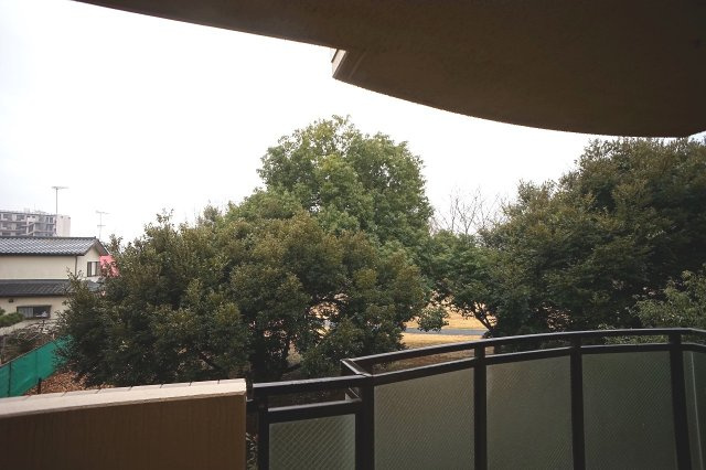 アルヴェレット【当社管理物件】の展望|バルコニー　目の前は公園です