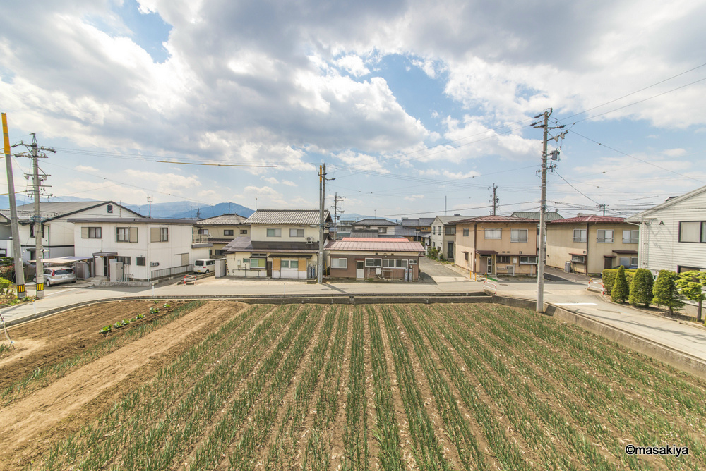 木の葉の展望|眺望