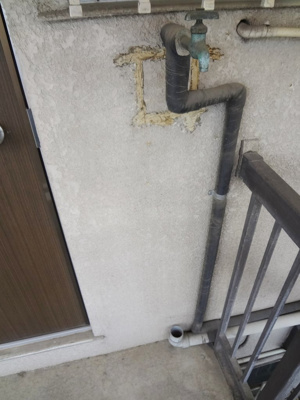 【その他】 | 星野荘