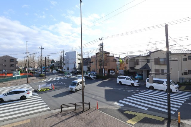 カンパニュラの展望