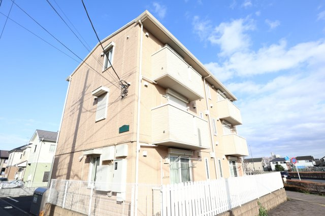 カンパニュラの外観