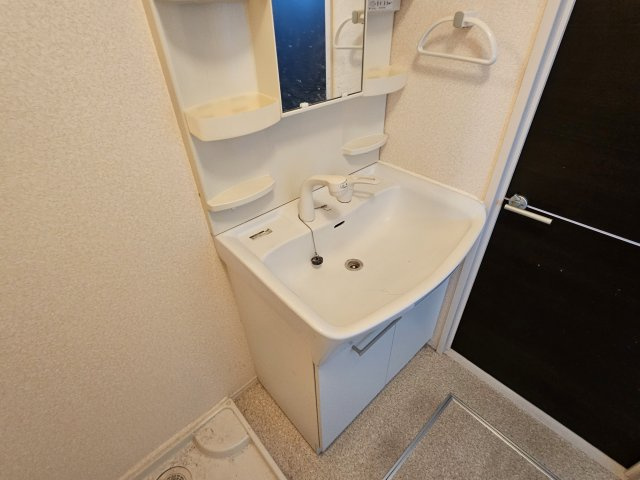 セントラルグレイス　C棟の洗面所
