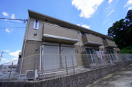 Peti natureの画像