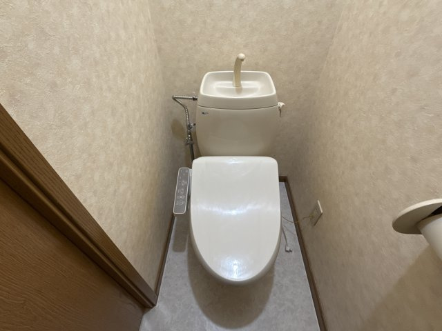 グリーンヒルズⅡのトイレ