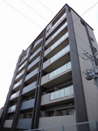 レガシー・銀河の画像