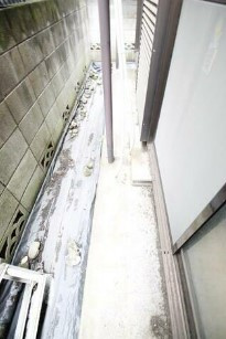 調布市富士見町１丁目のアパートの庭