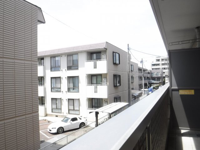 エバーグレイスの展望