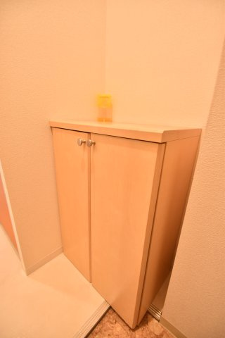 大阪市都島区東野田町１丁目の賃貸マンションの玄関