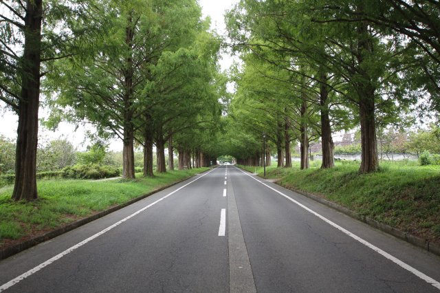 高島市マキノ町白谷　建築条件無し売土地