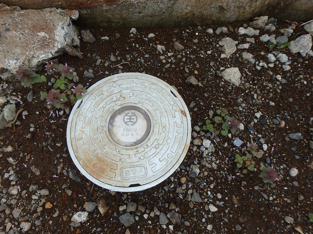 【その他】 | 大和田　売地