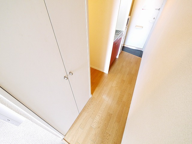 レオパレス秋桜の収納|大きなものも収納できそうです