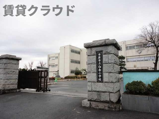 ネオス　ソイルの周辺
