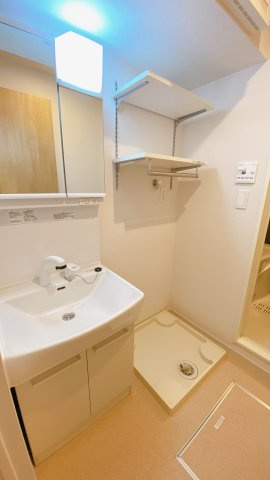 フェリーチェ東天王町Ⅱの洗面所