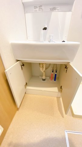 フェリーチェ東天王町Ⅱの洗面所