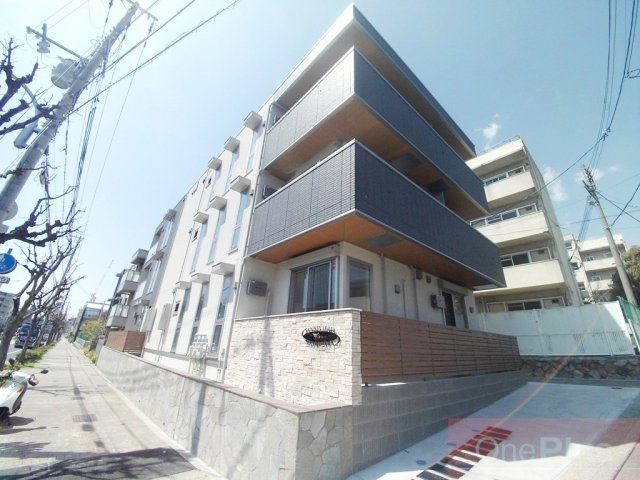 Sansevieria夏原